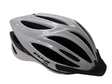 fuji team bike helmet